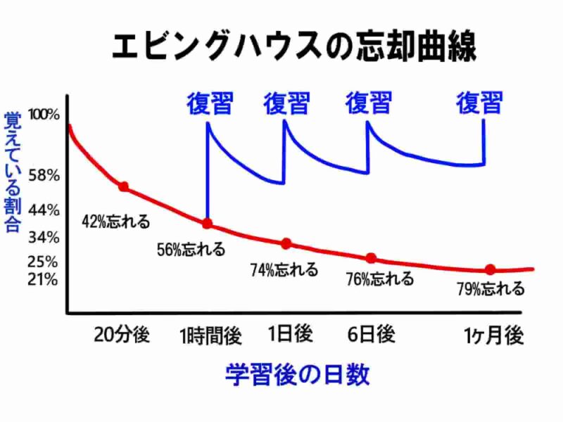 忘却曲線　復習の効果